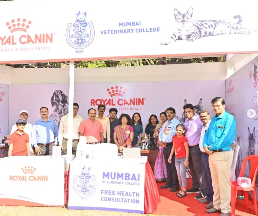 Stall Visit